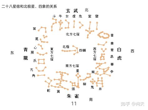 二十八星宿動物|二十八星宿是那些的動物原型